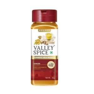 40211201 1 valley spice turmeric milk masala ginger