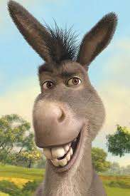 Donkey wallpaper for iphone 14 11