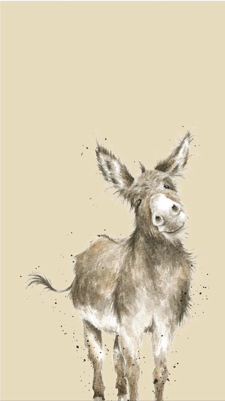 Donkey wallpaper for iphone 14 4