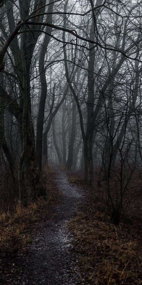 Foggy wallpaper for iphone 14 2