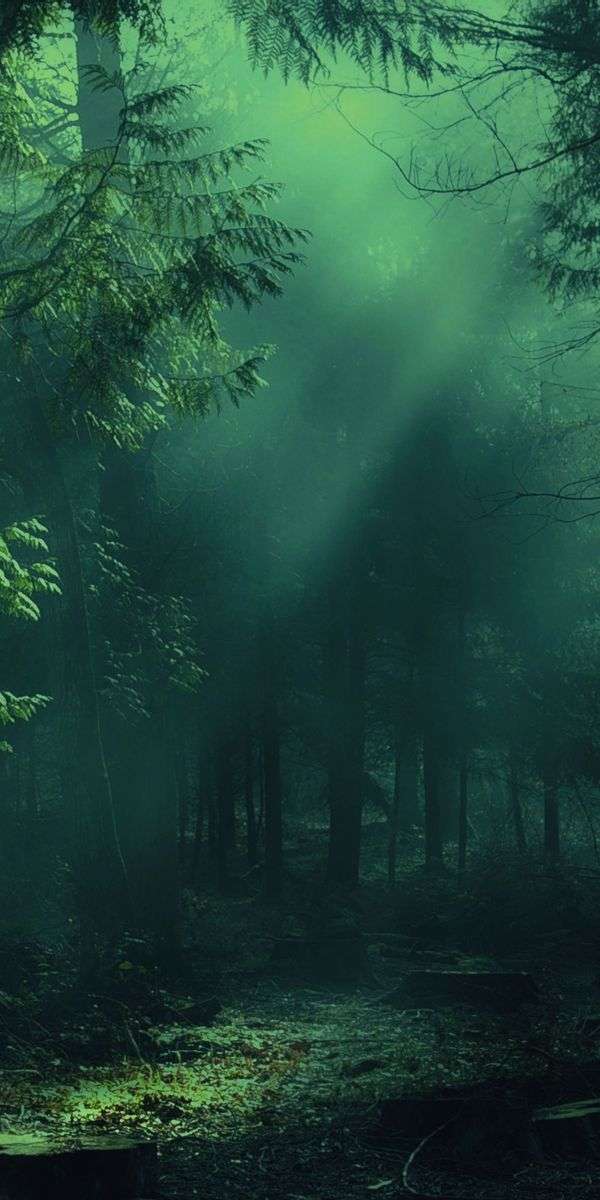 Foggy wallpaper for iphone 14 5