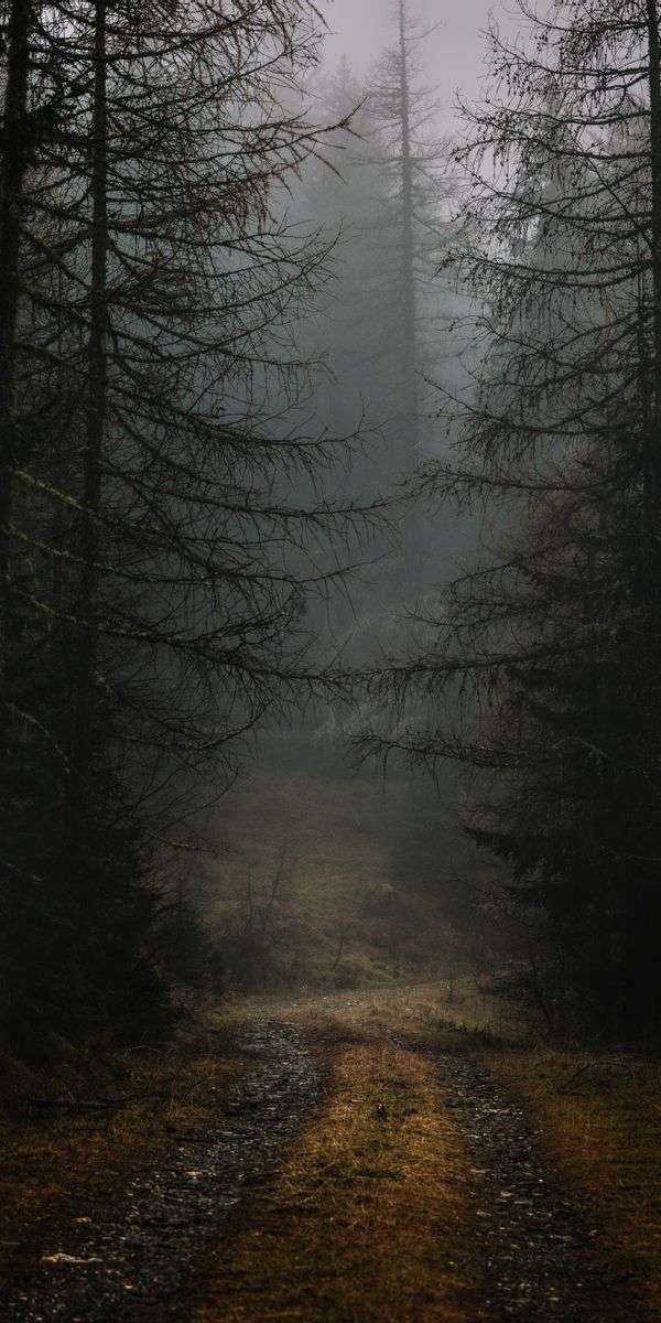 Foggy wallpaper for iphone 14 7
