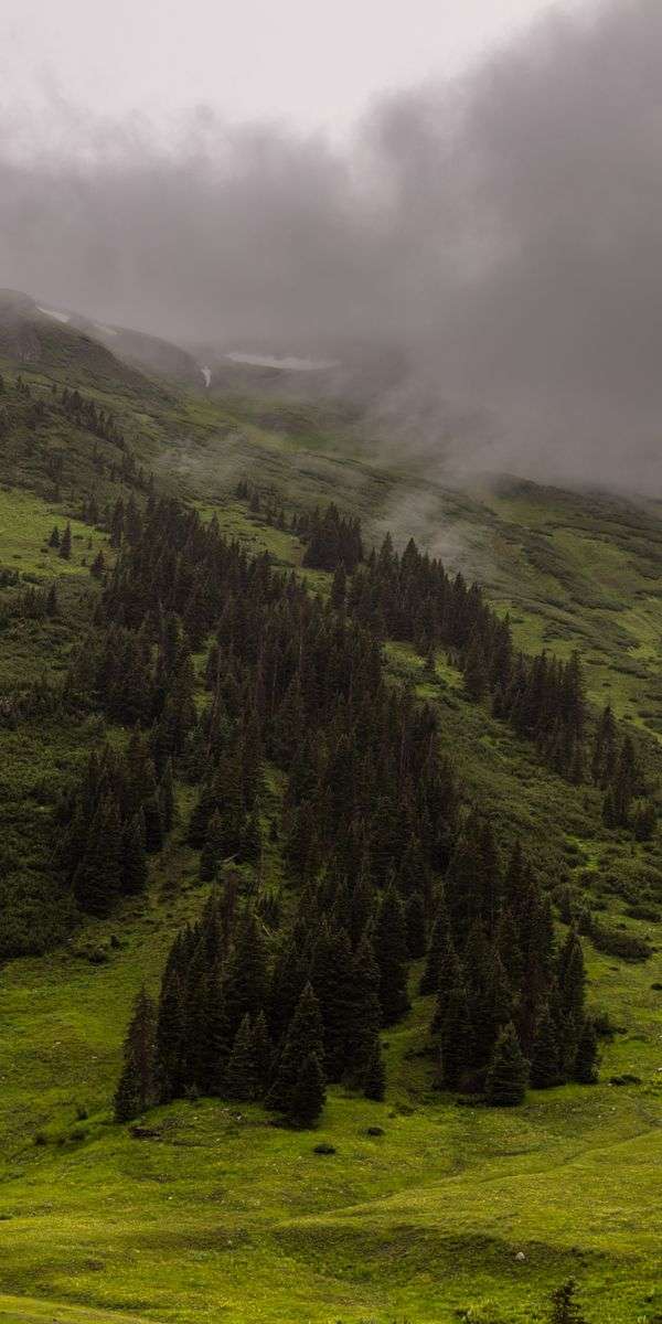 Foggy wallpaper for iphone 14 9
