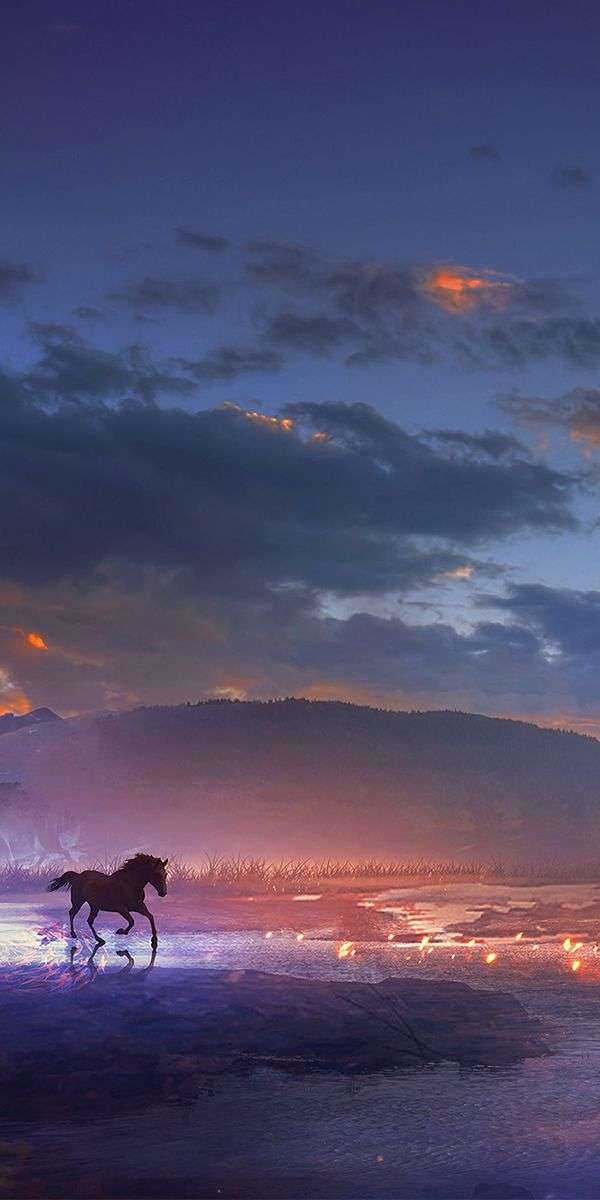 Black Horse Wallpaper for iPhone 11