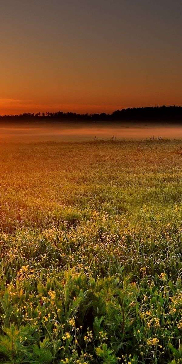 Scenery wallpaper for iphone 14 10