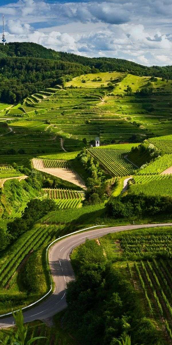 Scenery wallpaper for iphone 14 9