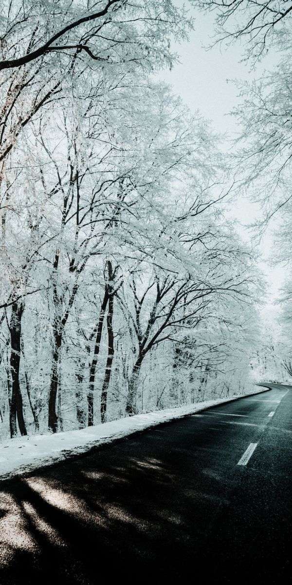 Snow wallpaper for iphone 14 1