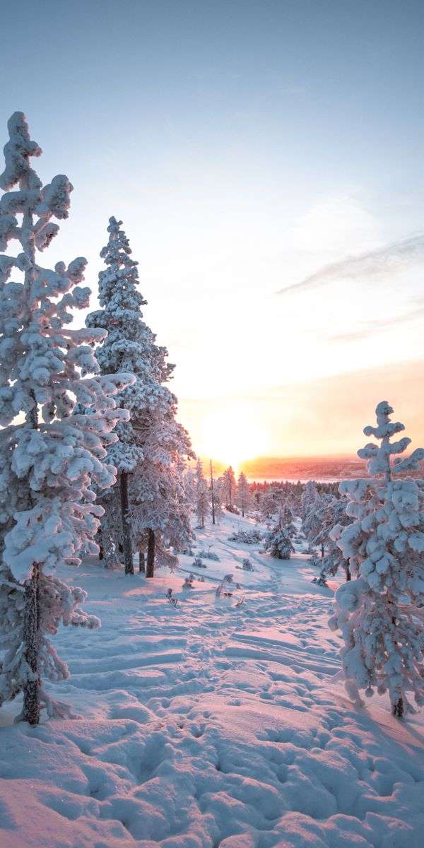 Snow wallpaper for iphone 14 4