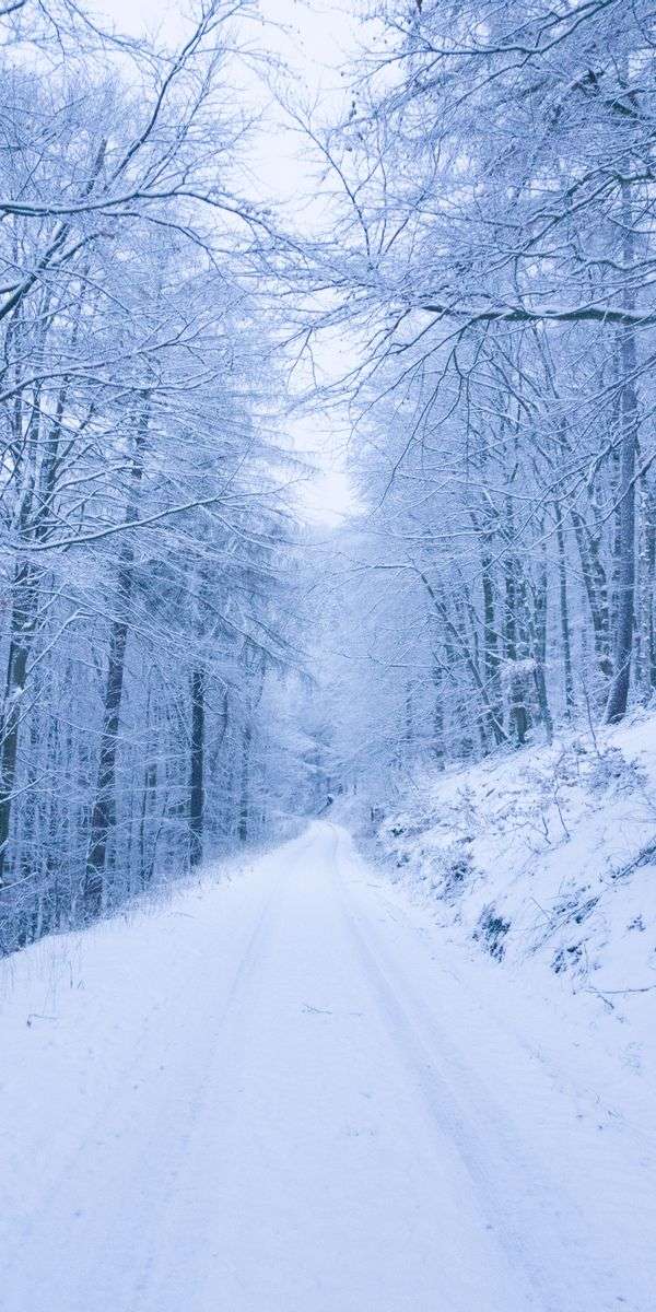 Snow wallpaper for iphone 14 8