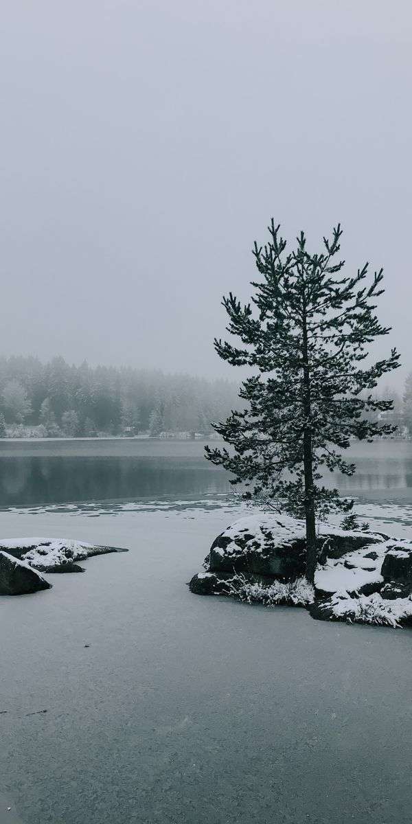 Snow wallpaper for iphone 14 9