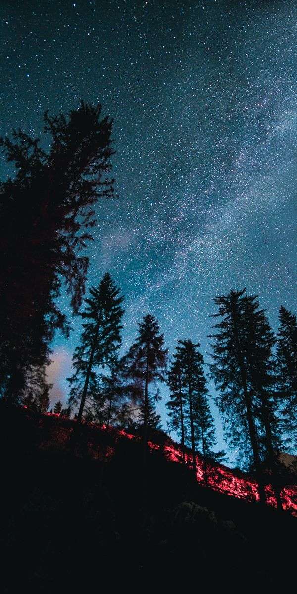Stars wallpaper for iphone 14 2