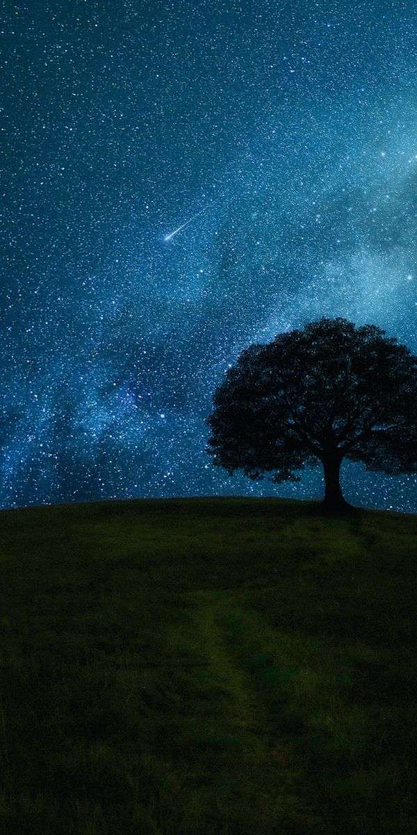 Stars wallpaper for iphone 14 5