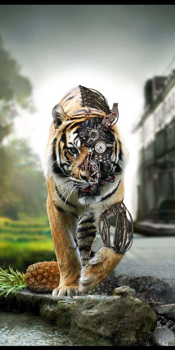 Tiger wallpaper for iphone 14 7