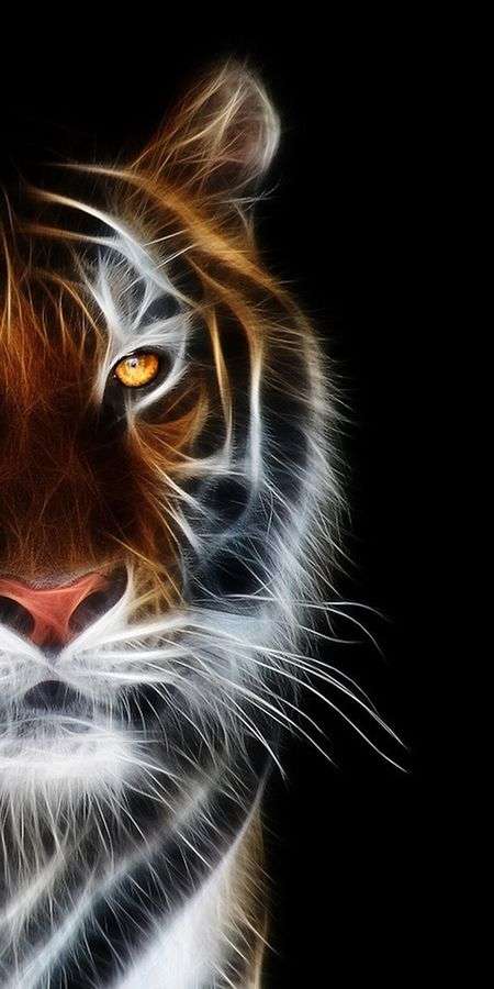 Tiger wallpaper for iphone 14 8