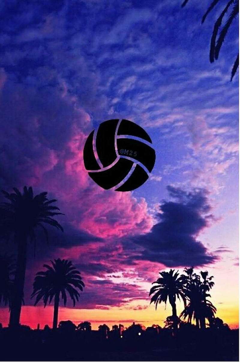 Volleyball wallpaper for iphone 14 12