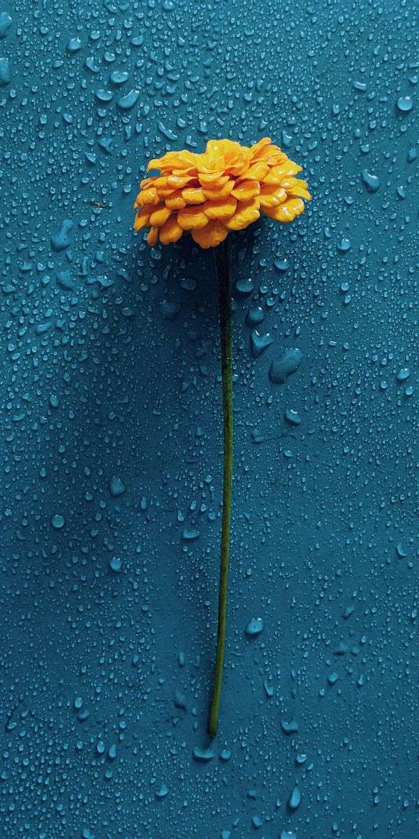 Water wallpaper for iphone 14 8