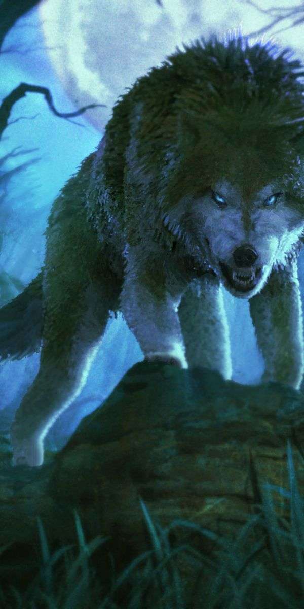 Wolf wallpaper for iphone 14 11