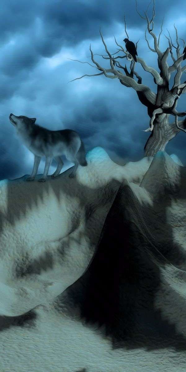 Wolf wallpaper for iphone 14 12