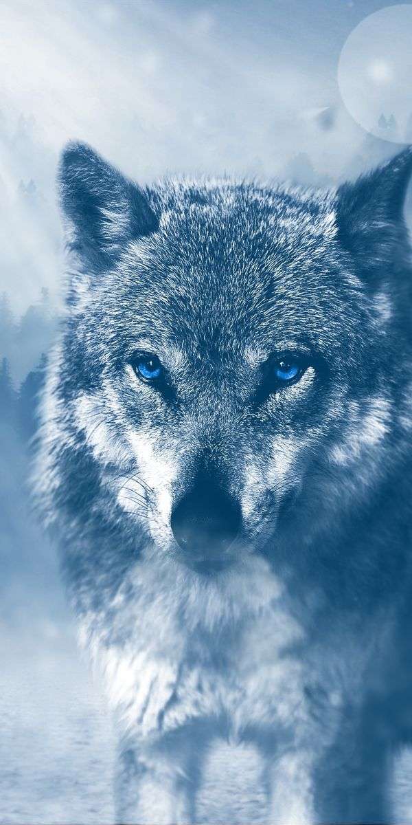 Wolf wallpaper for iphone 14 13
