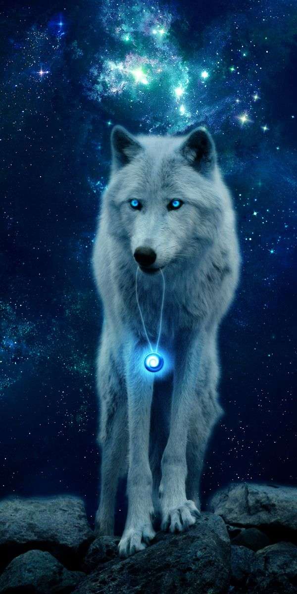 Wolf wallpaper for iphone 14 3