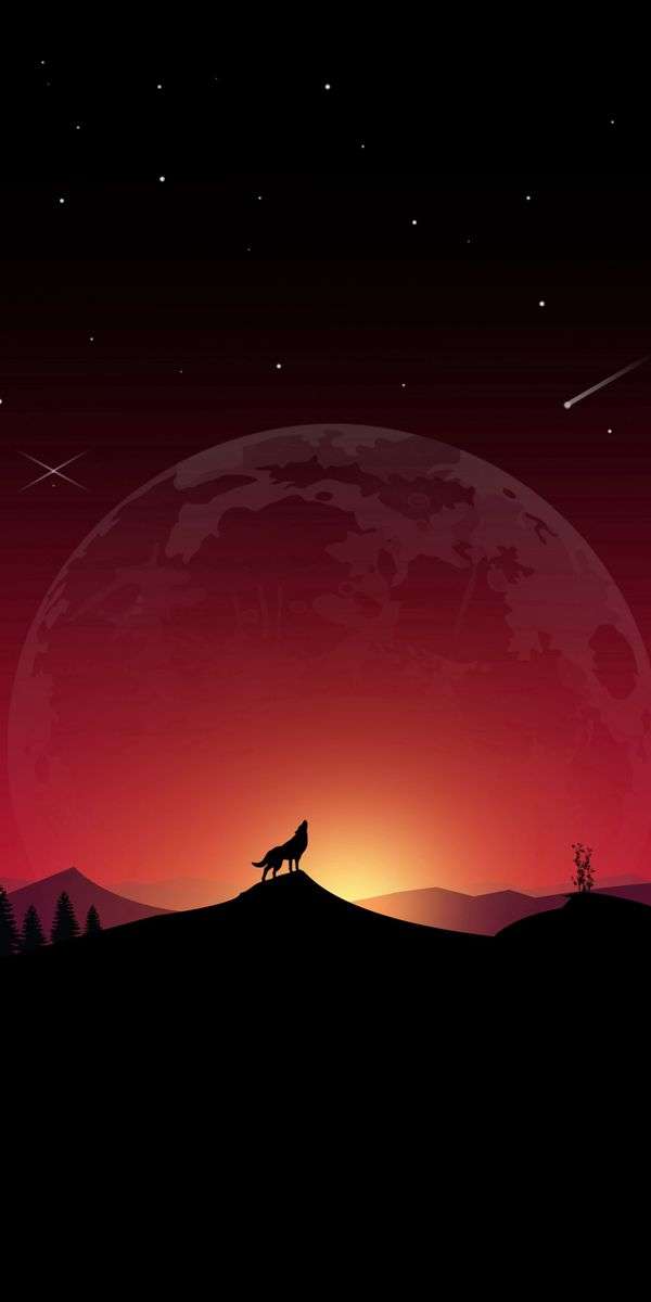 Wolf wallpaper for iphone 14 5