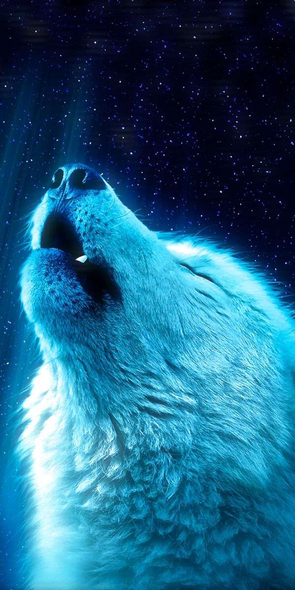 Wolf wallpaper for iphone 14 7