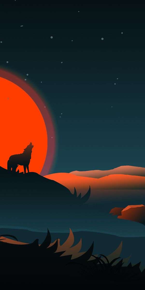 Wolf wallpaper for iphone 14 9