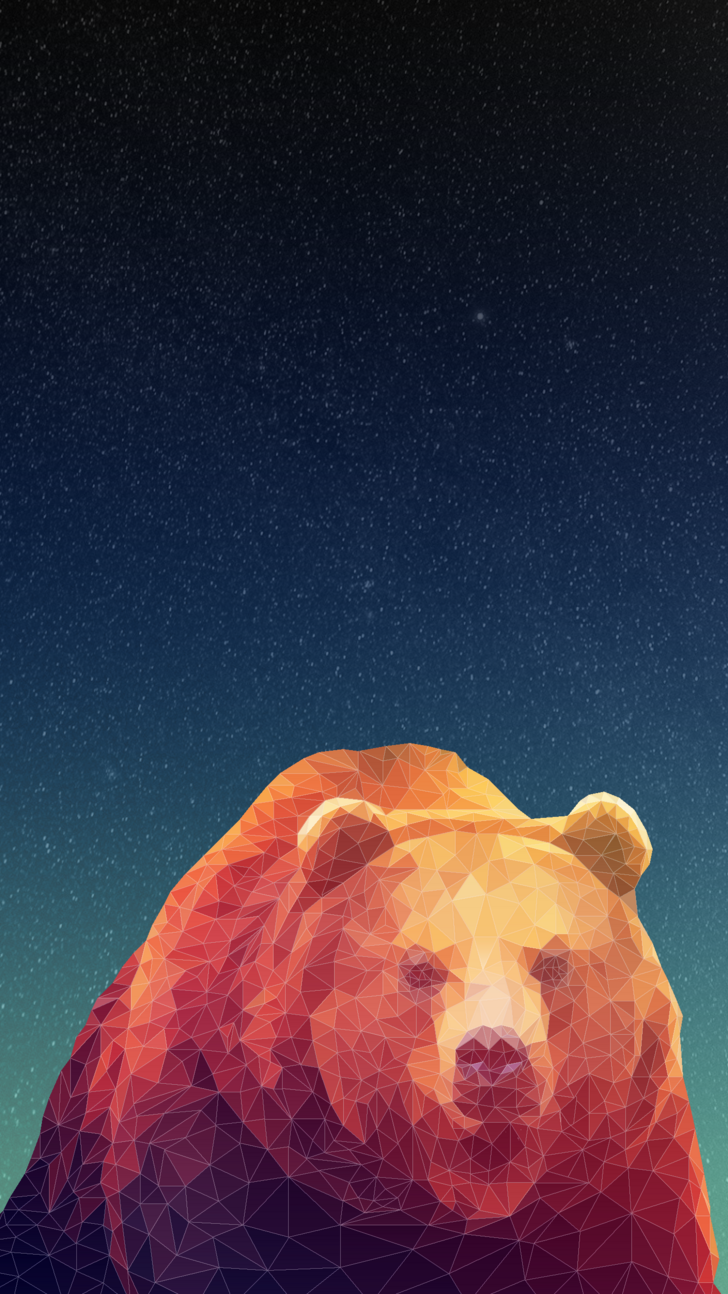 iphone 14 bear wallpaper 2