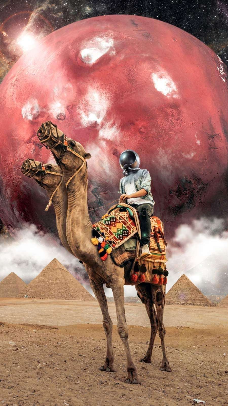 iphone 14 camel wallpaper 11